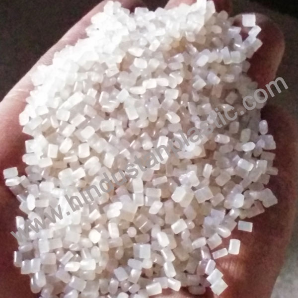 Natural CP Granules In Bahadurgarh